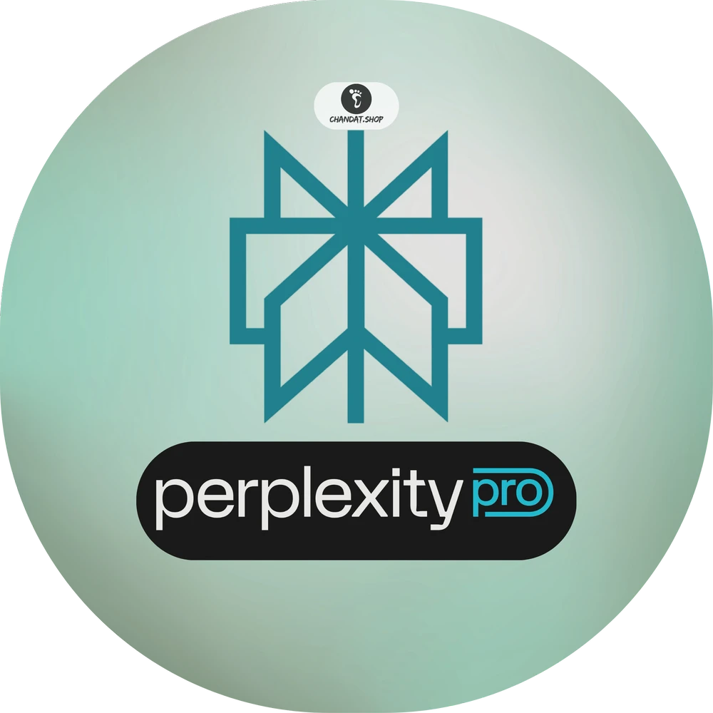 Perplexity